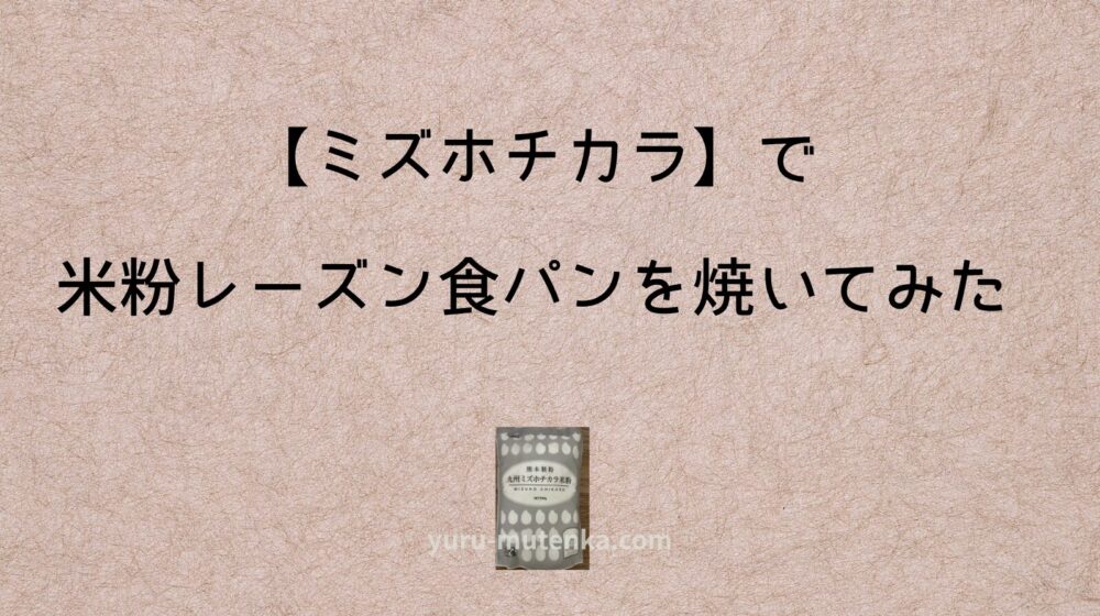 ミズホチカラ記事アイキャッチ画像