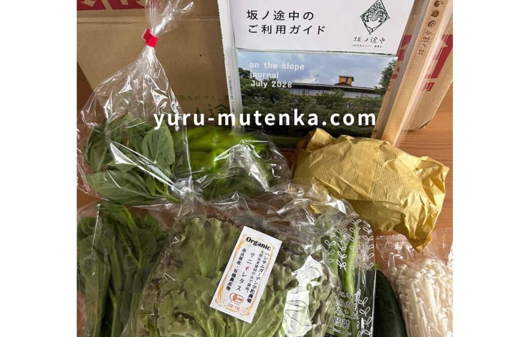 坂ノ途中の定期宅配Sサイズ初回に届いた野菜8品