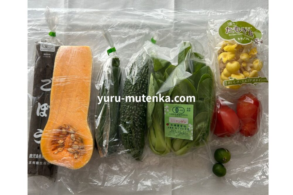 坂の途中３回目届いた野菜すべて並べたところの実物写真