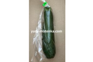 ズッキーニの実物写真