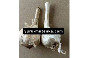 にんにく実物写真