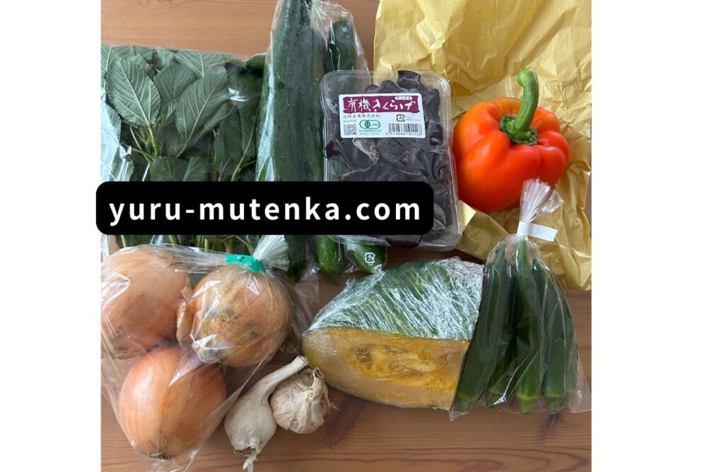坂ノ途中2回目の野菜すべて並べた実物写真