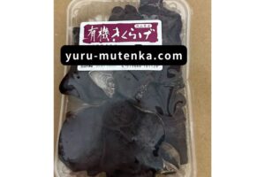 きくらげ実物写真