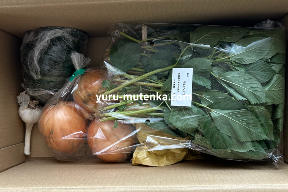 坂ノ途中から届いた野菜2回目