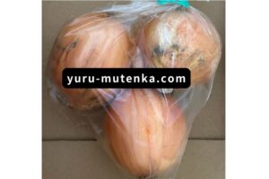 玉ねぎ実物写真