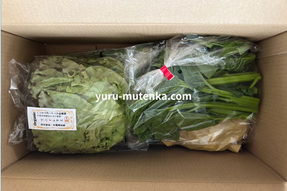 坂ノ途中から届いた野菜1回目