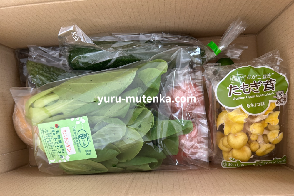 坂ノ途中から届いた野菜3回目