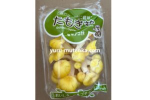 タモギダケの実物写真