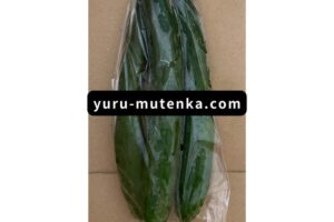 きゅうり実物写真